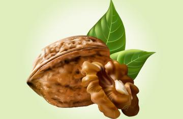 WALNUT OIL