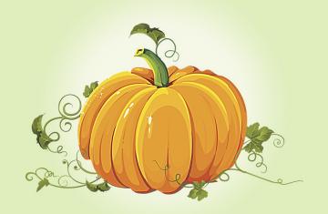 PUMPKIN SEED OIL